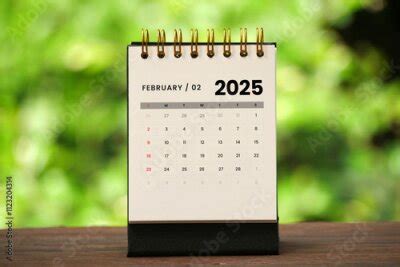 Le garçon 2025